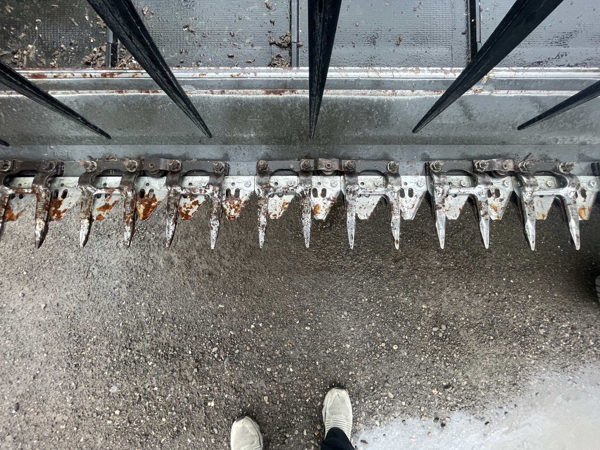 2016 Massey Ferguson 5300 Header Draper