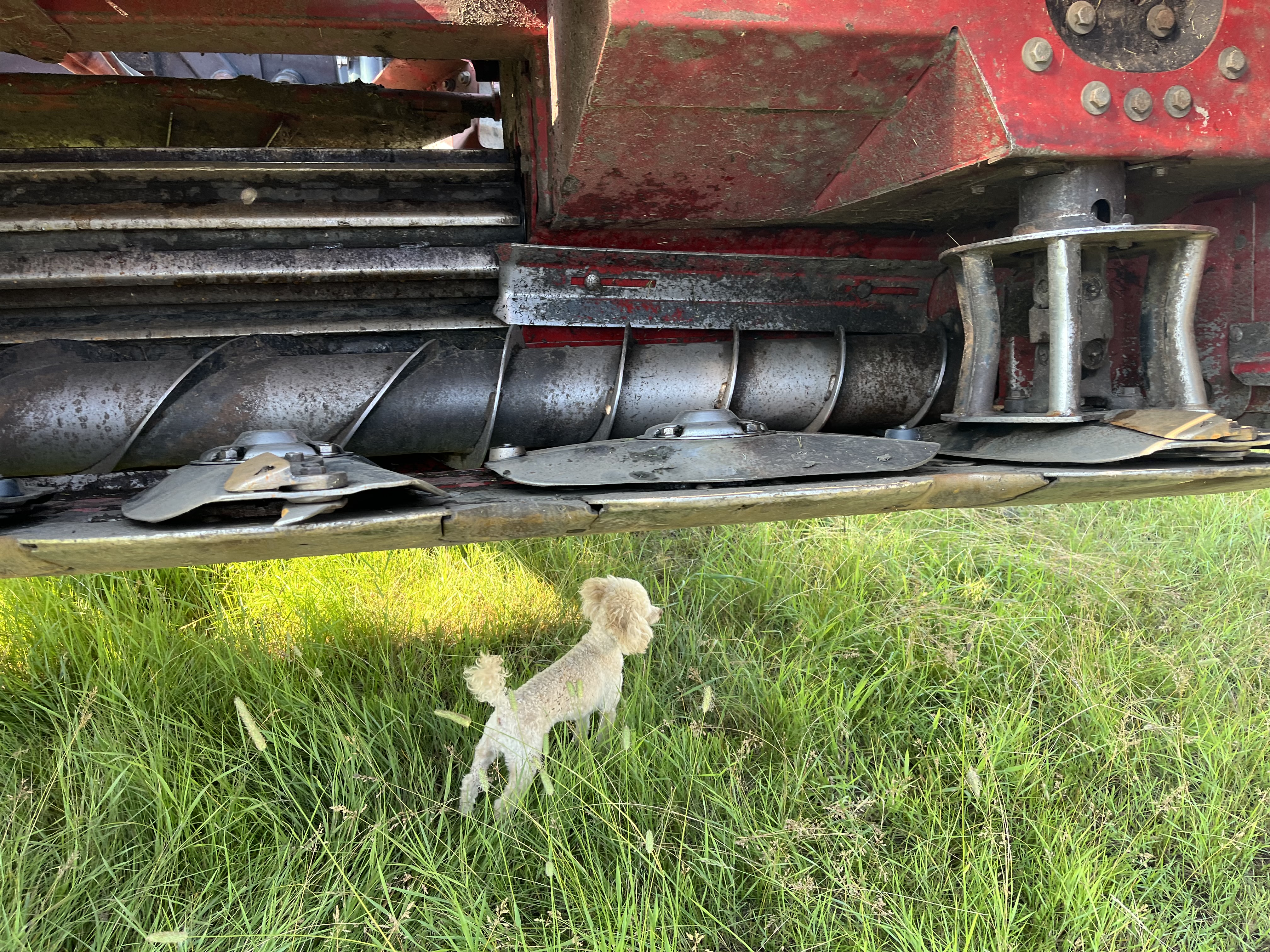 2015 MacDon M205 Swather