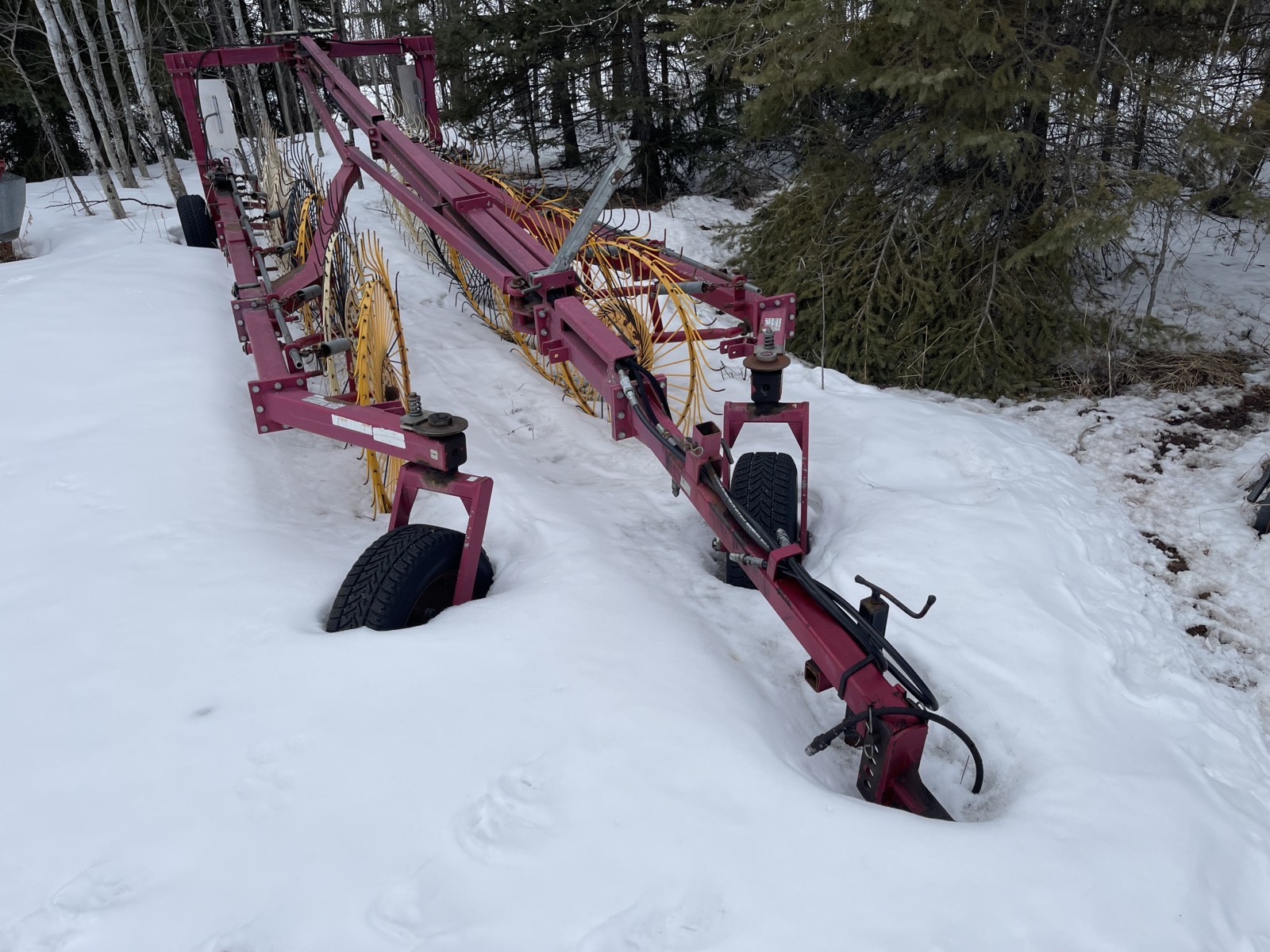 Enorossi RTY12 Rake