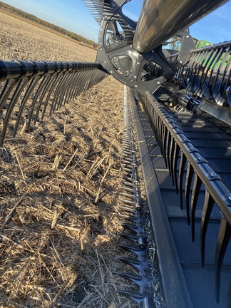 2019 MacDon FD135 Header Combine