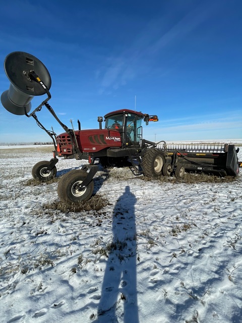 2021 MacDon M155 Windrower