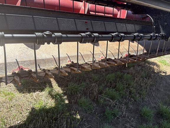 2012 Case IH WD1203 Windrower