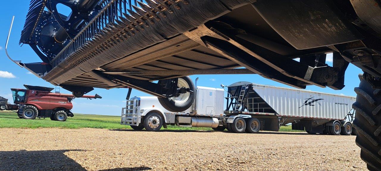 2019 MacDon FD145 Header Draper