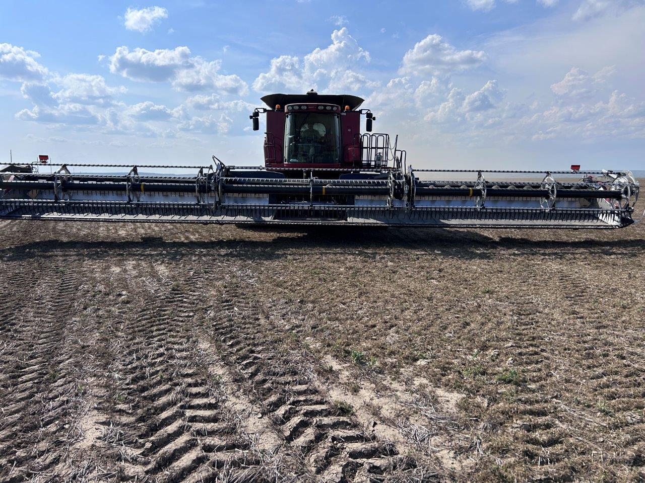 2023 MacDon FD250 Header Draper