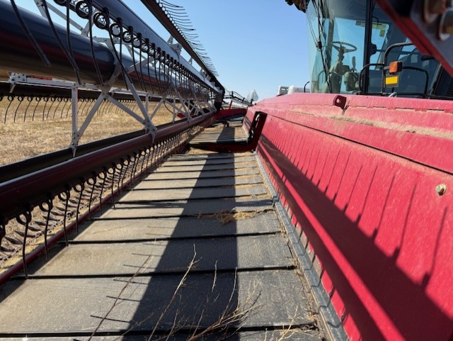 2010 Case IH WD1203 Windrower