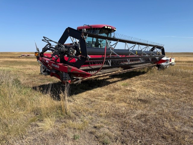 2010 Case IH WD1203 Windrower