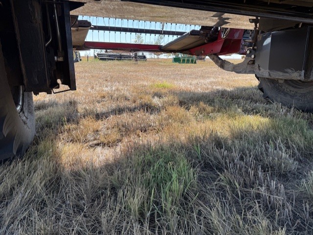 2010 Case IH WD1203 Windrower