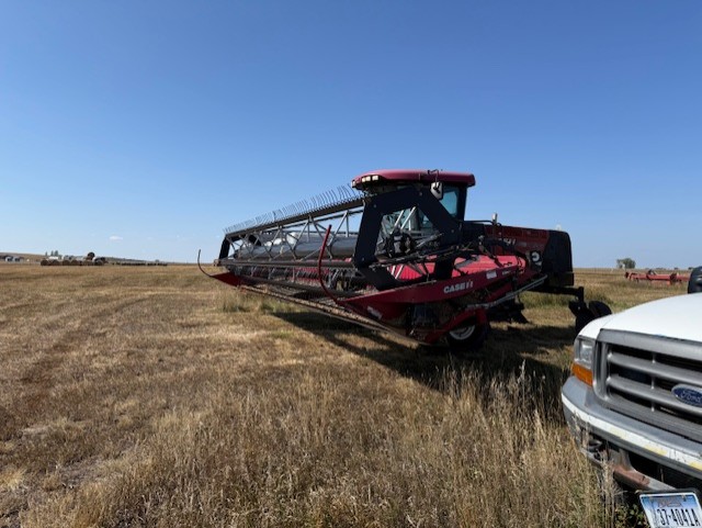 2010 Case IH WD1203 Windrower