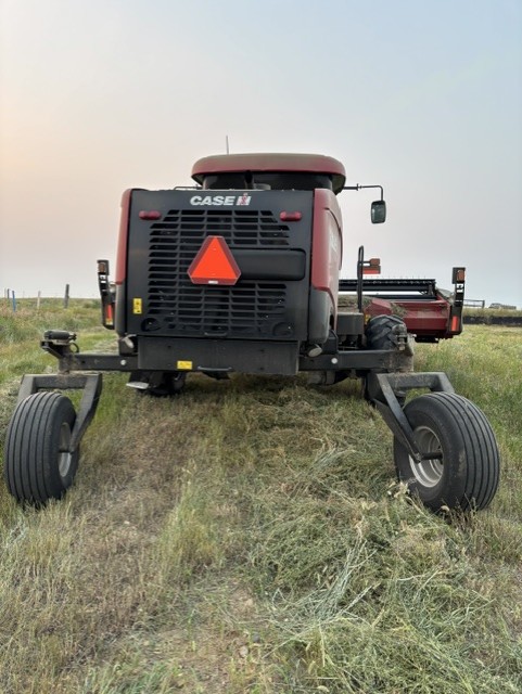 2023 Case IH WD1505 Windrower