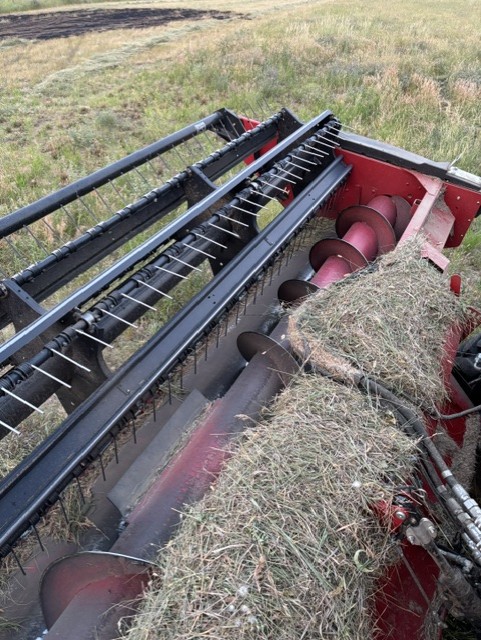 2023 Case IH WD1505 Windrower