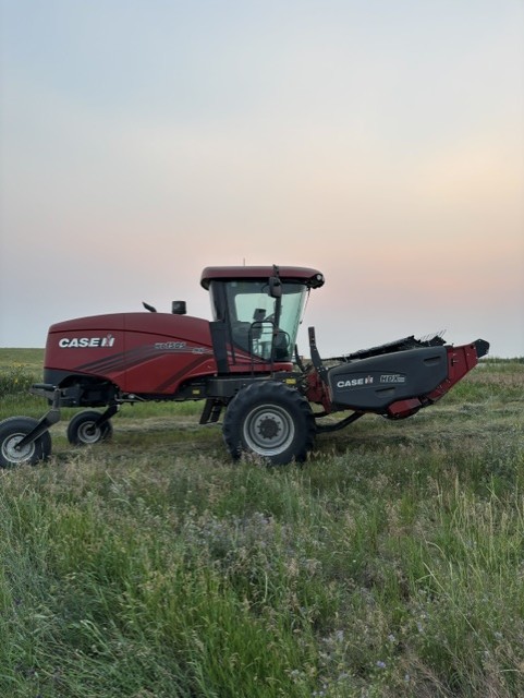 2023 Case IH WD1505 Windrower