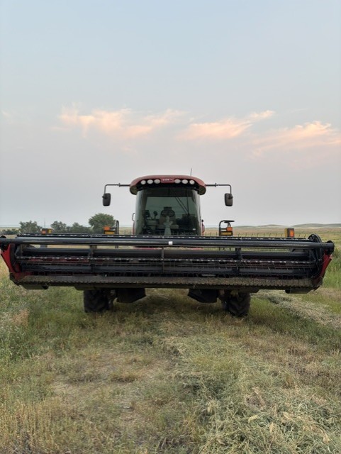 2023 Case IH WD1505 Windrower