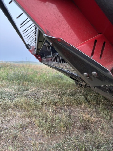 2023 Case IH WD1505 Windrower