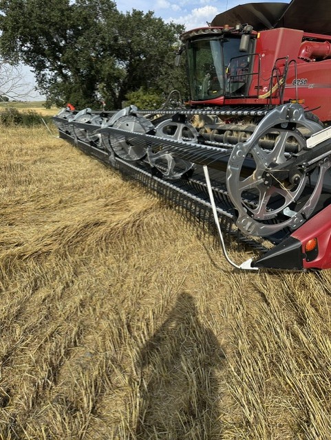 2024 MacDon FD245 Header Combine