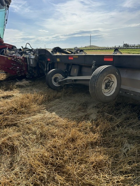 2024 MacDon FD245 Header Combine