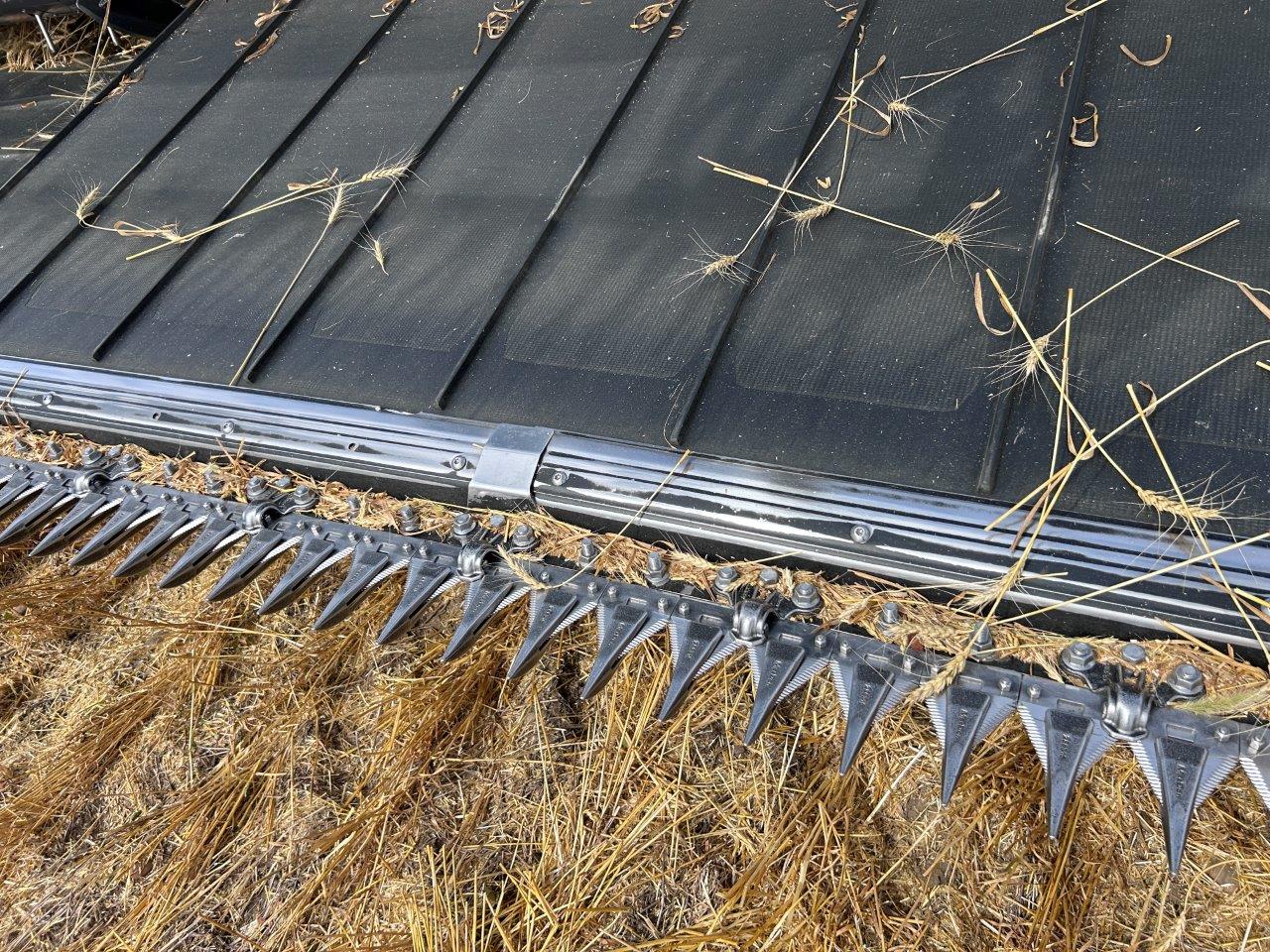 2024 MacDon FD250 Header Combine