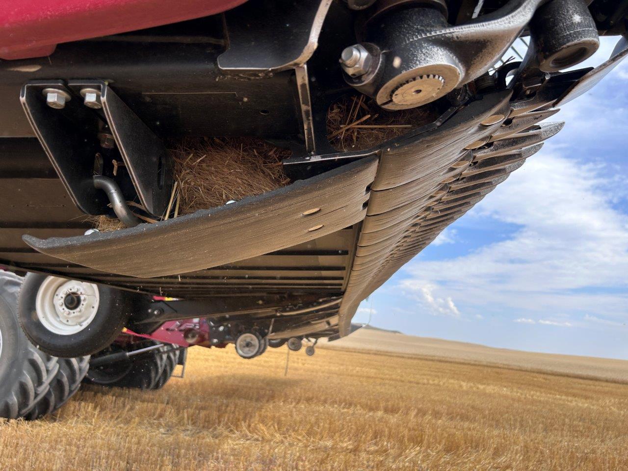 2024 MacDon FD250 Header Combine