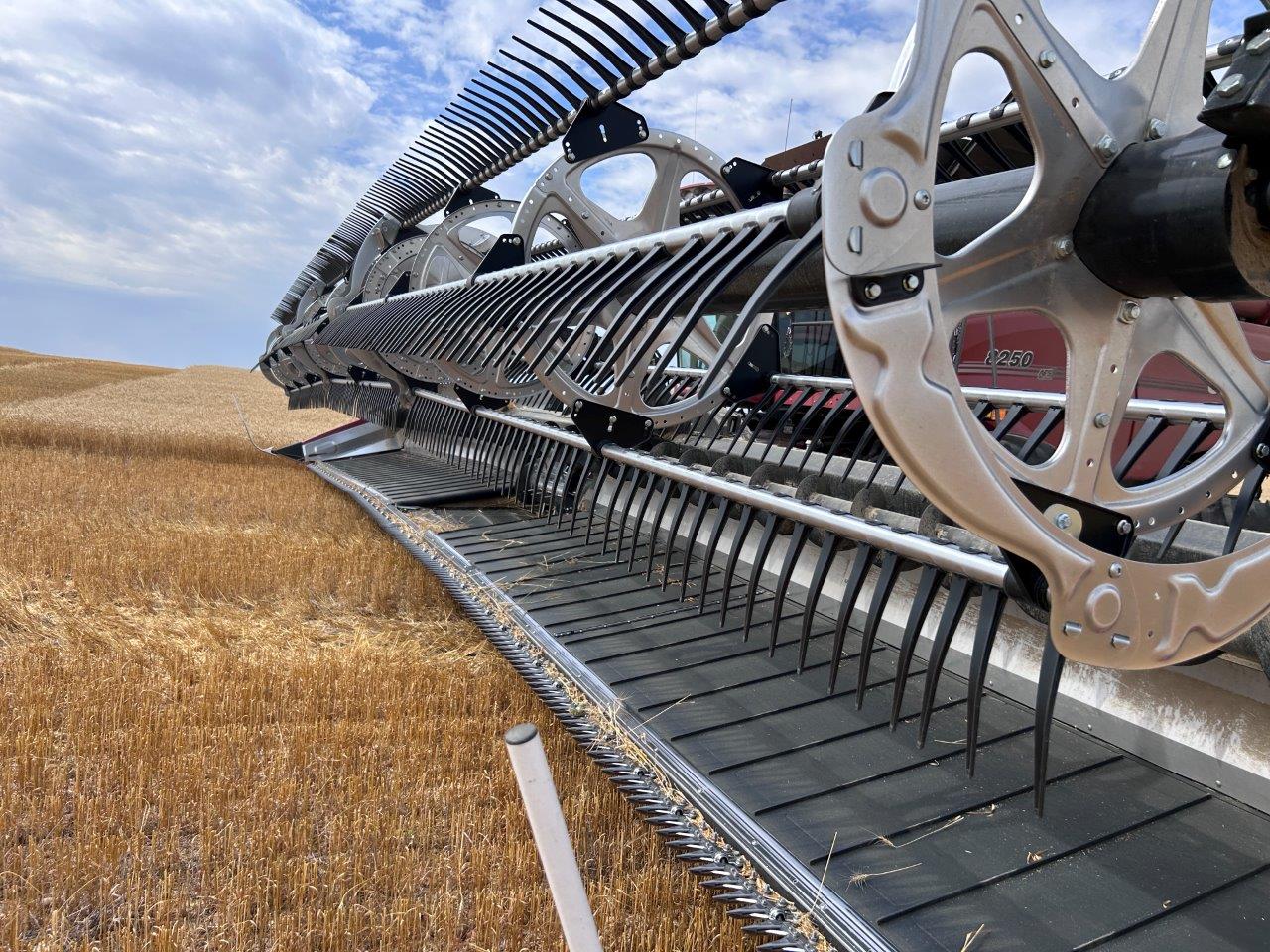 2024 MacDon FD250 Header Combine