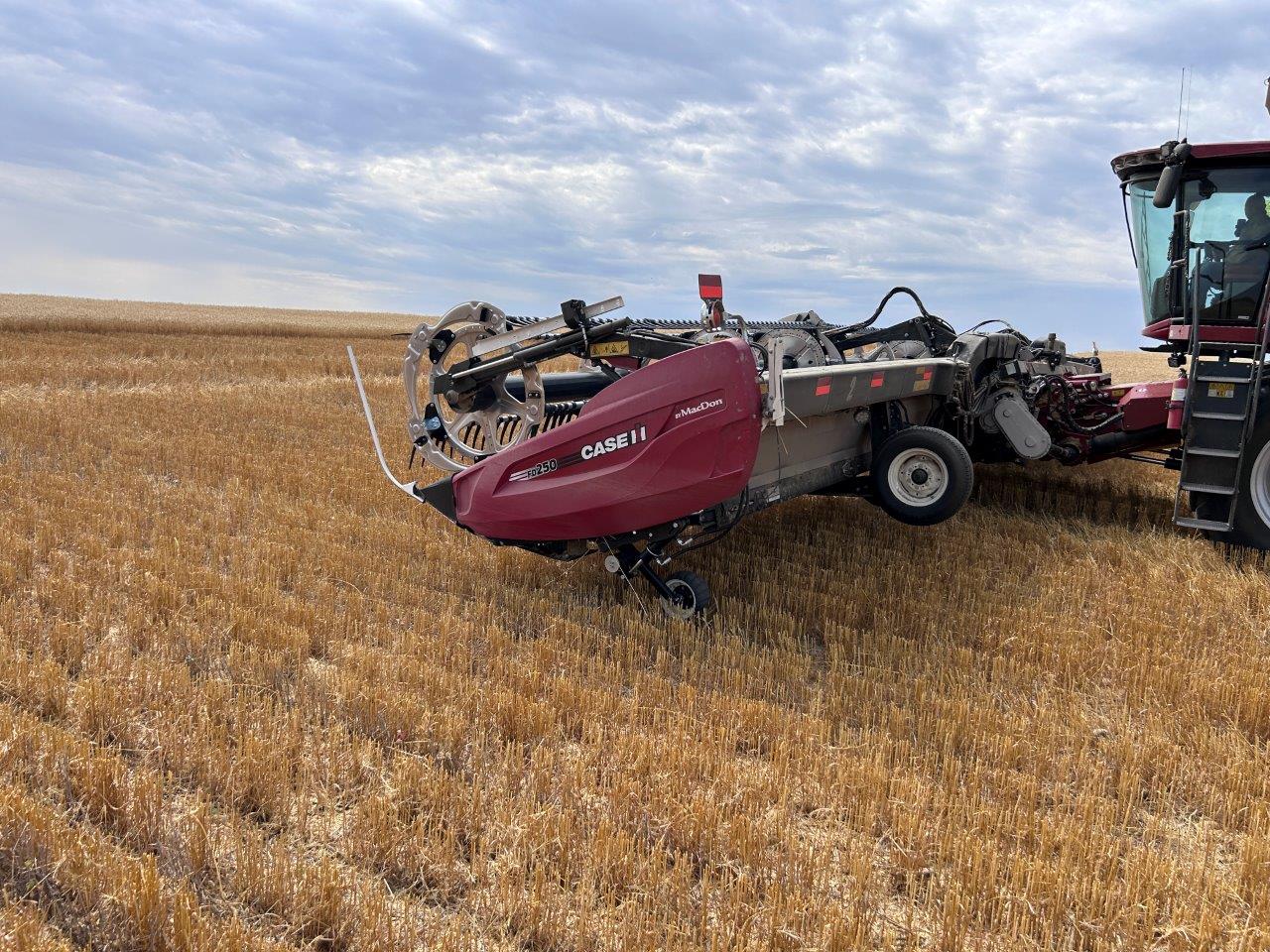 2024 MacDon FD250 Header Combine