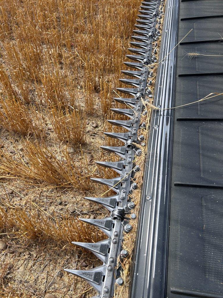 2024 MacDon FD250 Header Combine