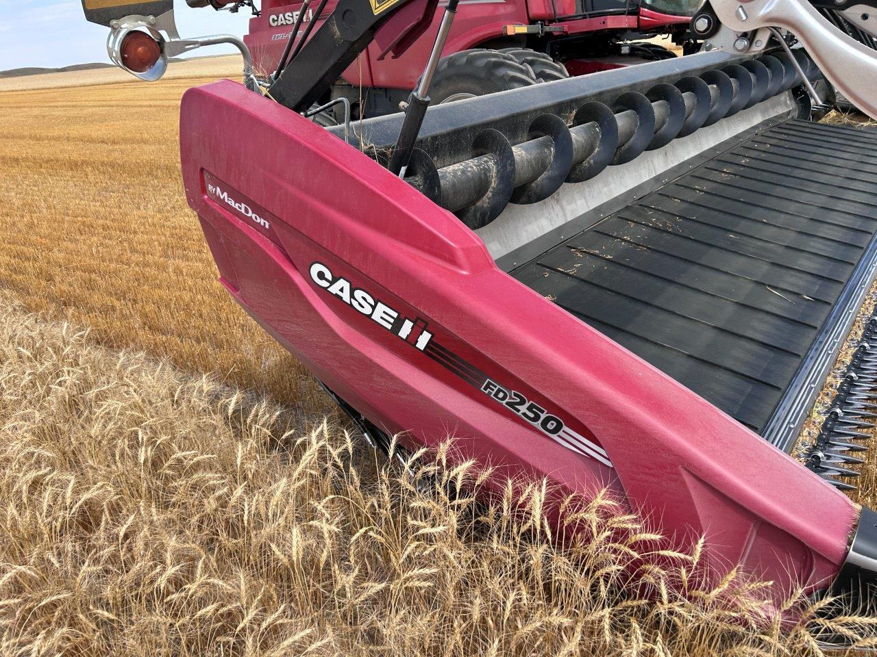 2024 MacDon FD250 Header Combine