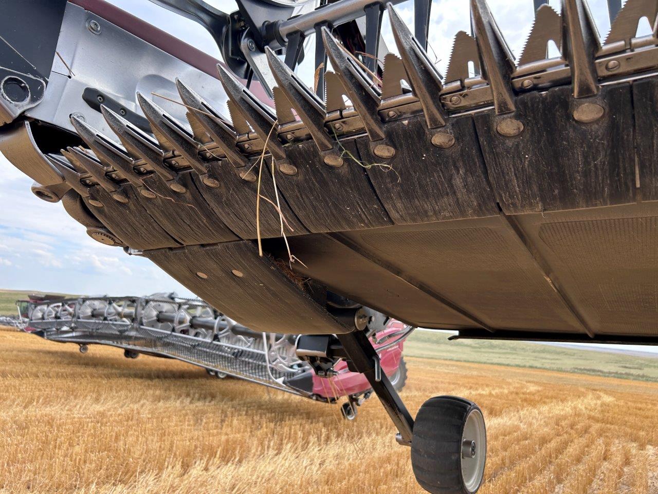 2024 MacDon FD250 Header Combine