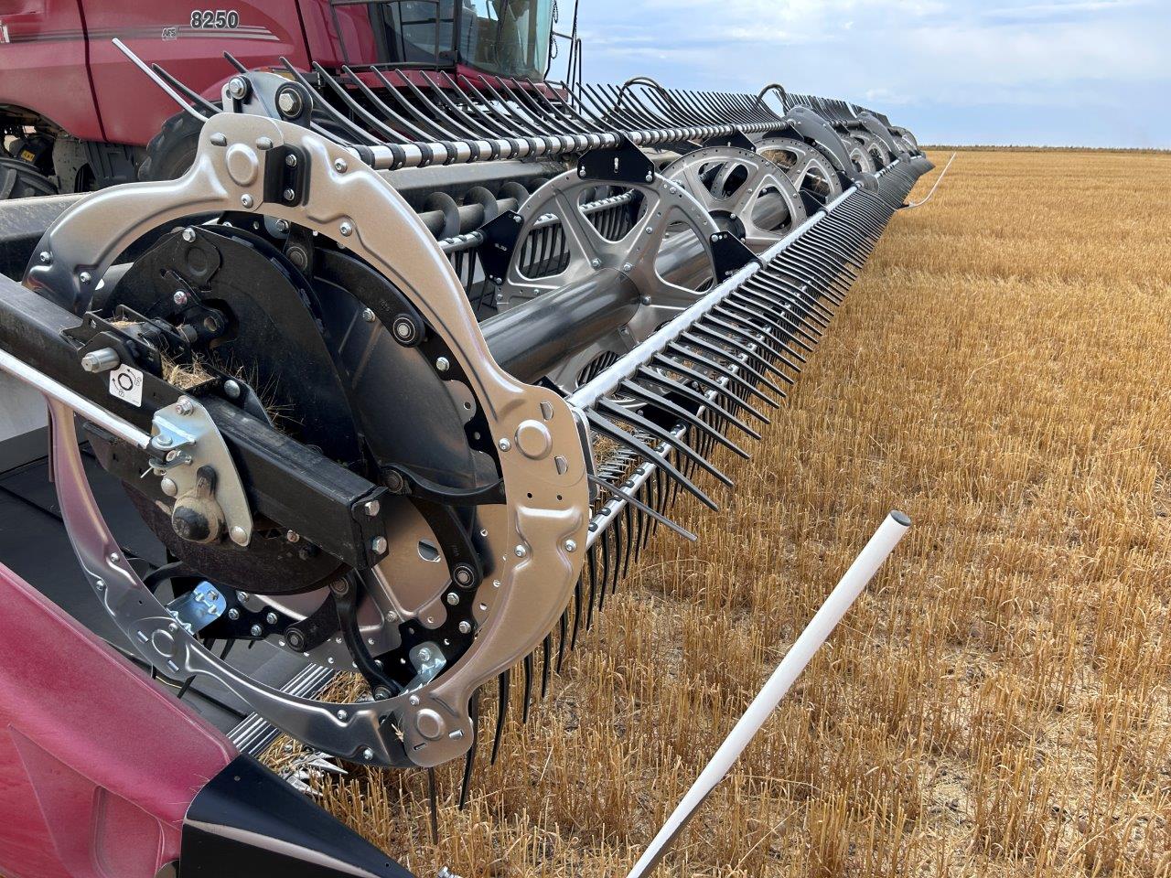 2024 MacDon FD250 Header Combine