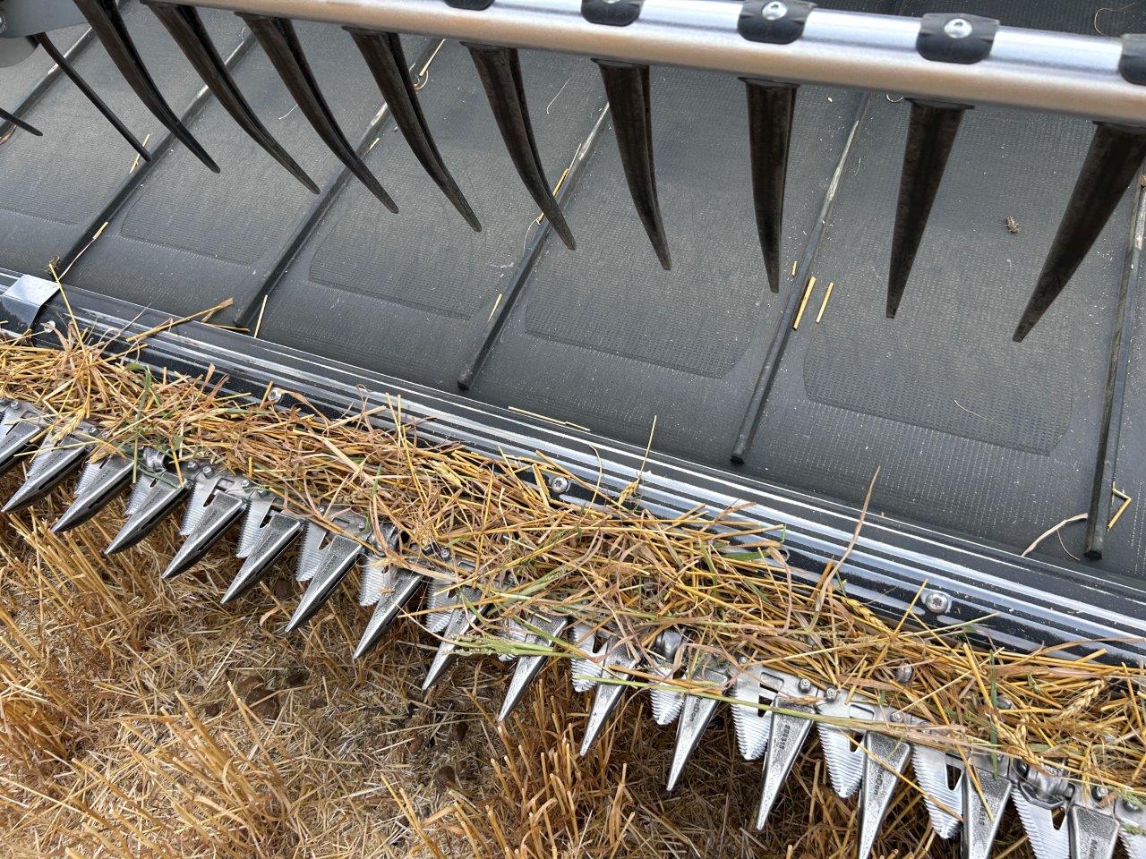 2024 MacDon FD250 Header Combine