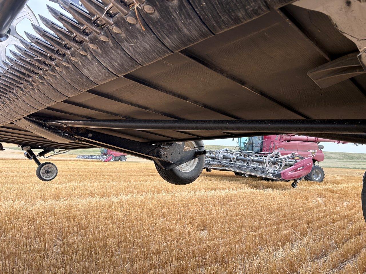 2024 MacDon FD250 Header Combine