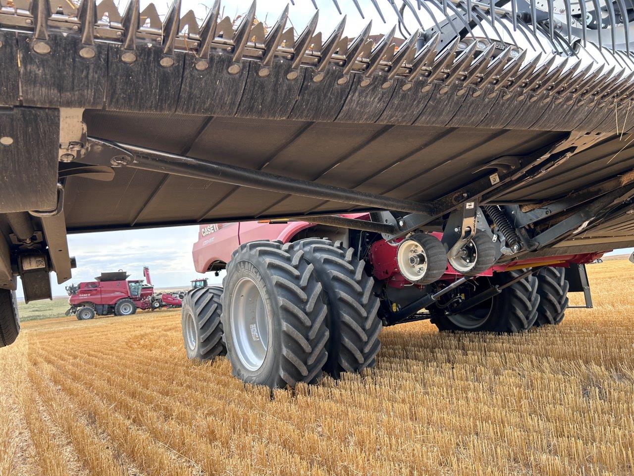 2024 MacDon FD250 Header Combine