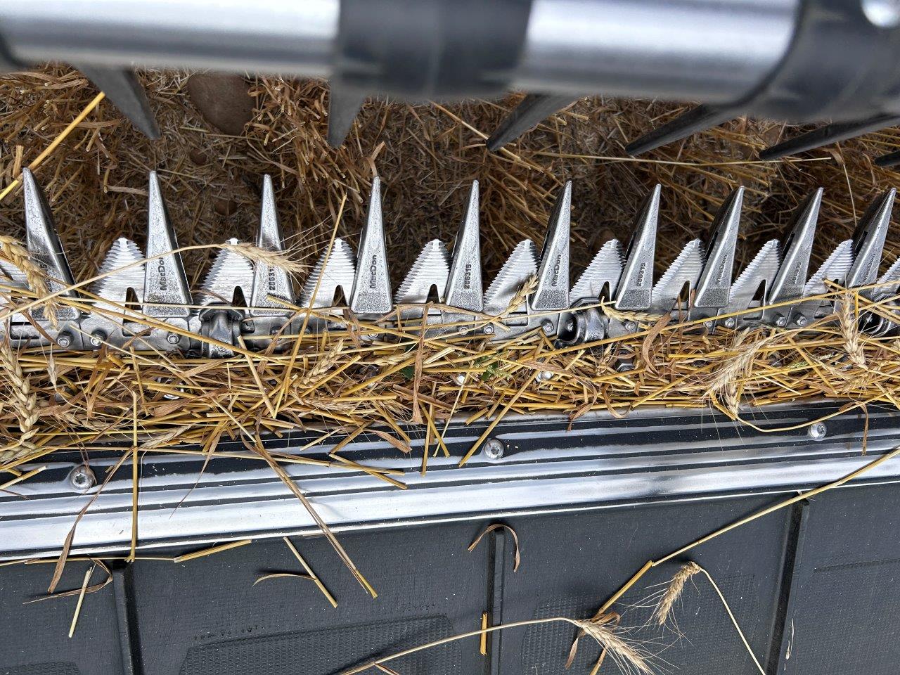 2024 MacDon FD250 Header Combine