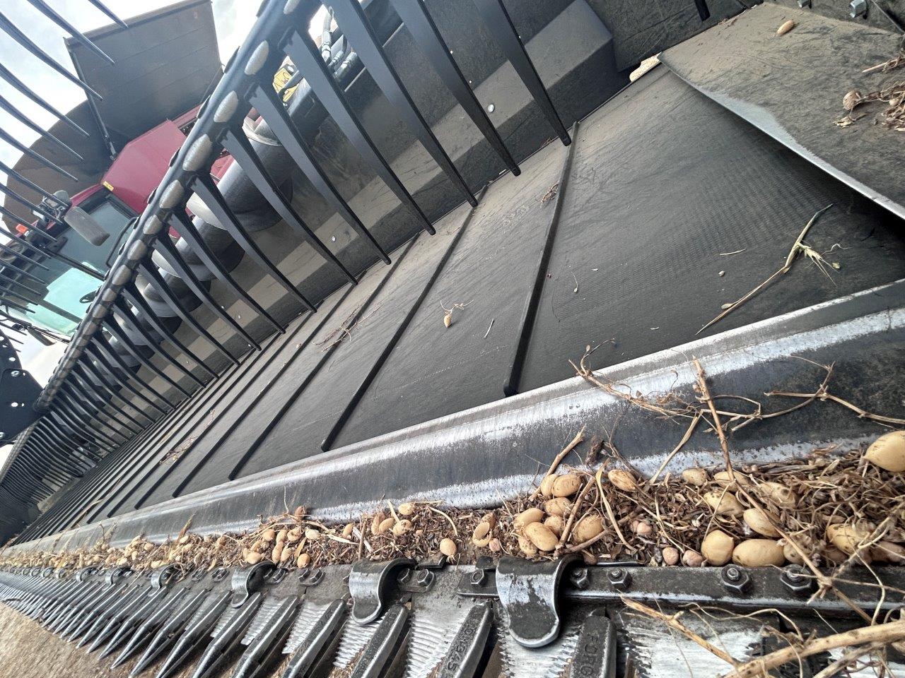 2019 MacDon FD145 Header Combine