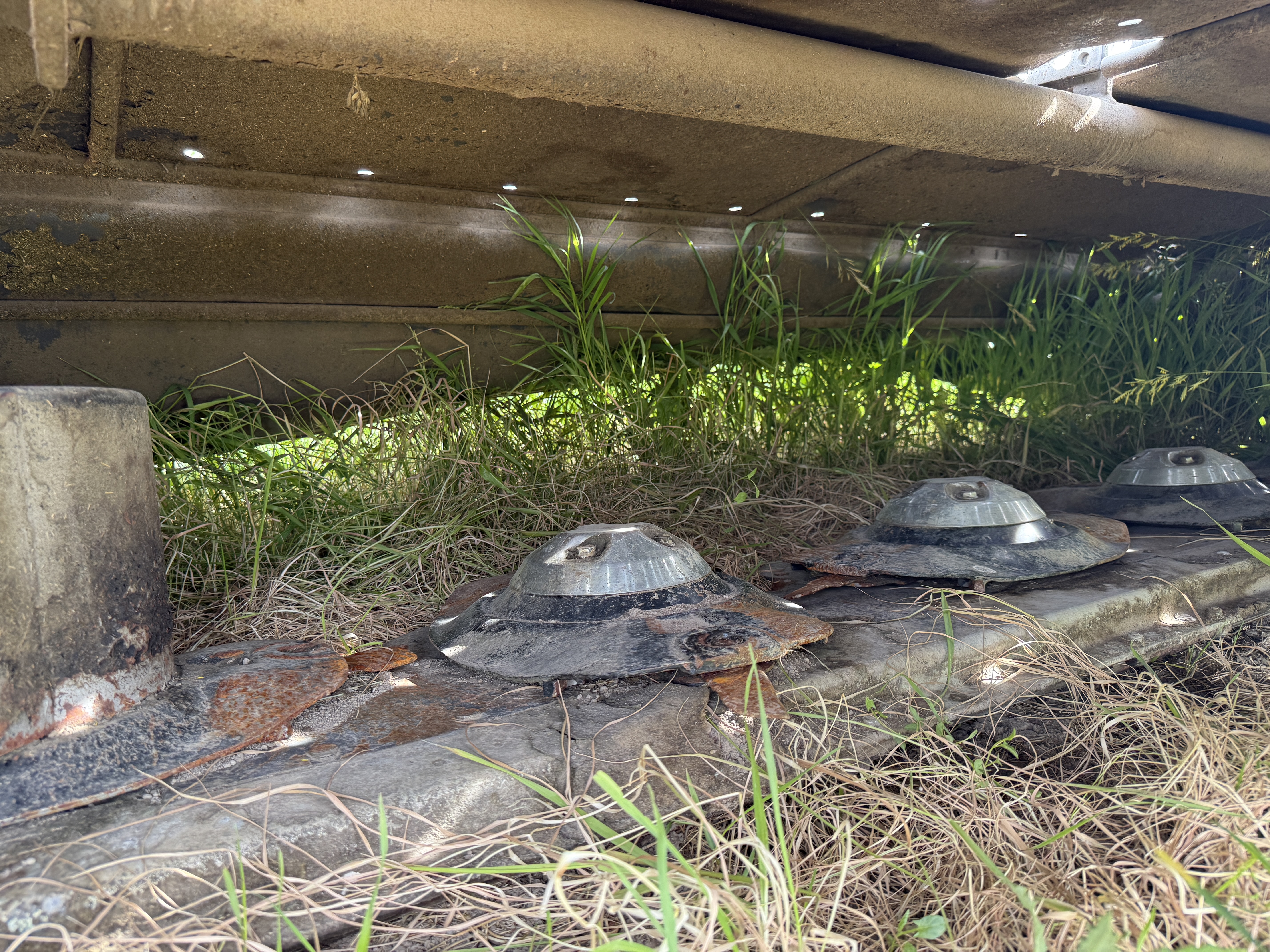 2023 Massey Ferguson dm306 Mower/Disc