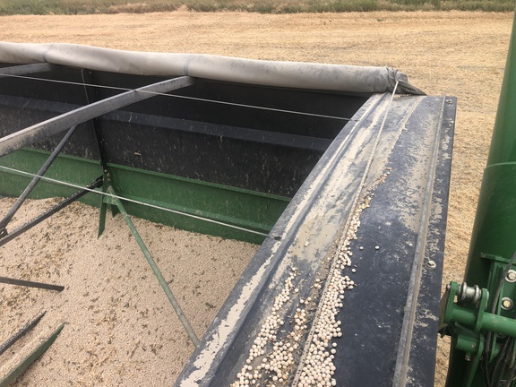 2015 Brent 1596 Grain Cart