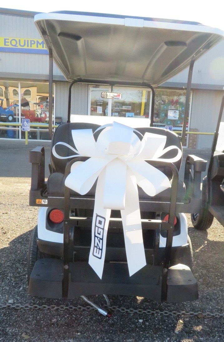 2023 E-Z-GO EXPRESS L6 ELITE Golf Cart