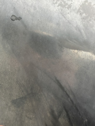 2019 Hagie STS12 Sprayer/High Clearance