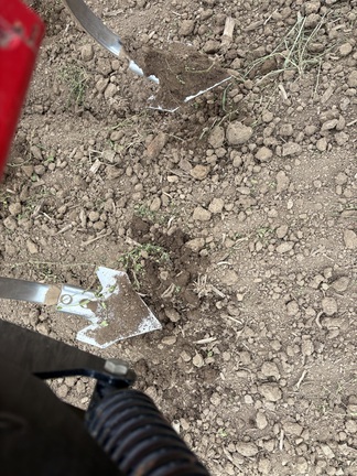 2016 Sunflower 5056 Field Cultivator