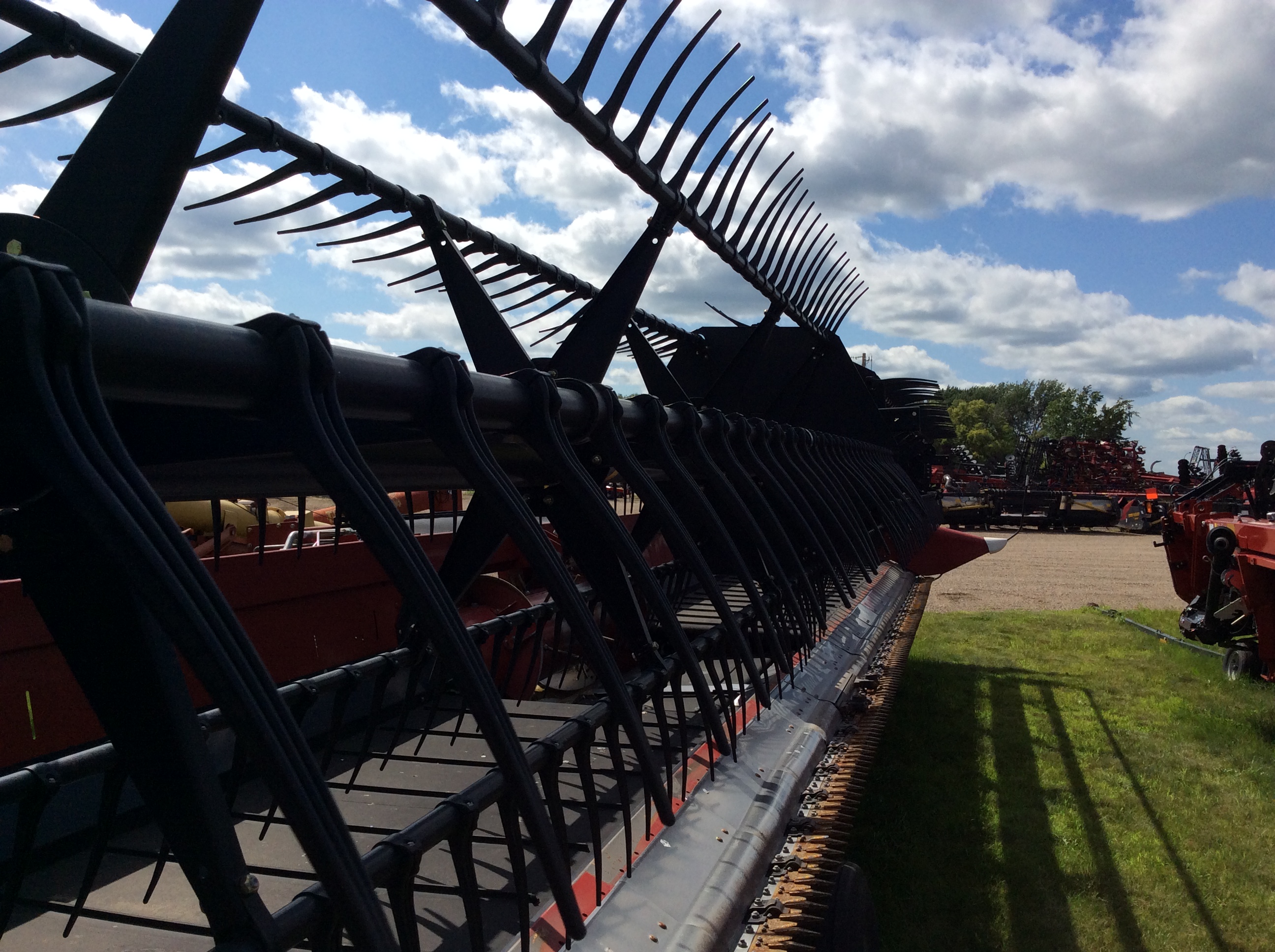 2019 Case IH 3162-45 Header Draper