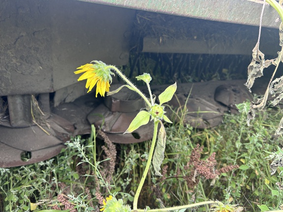 2012 John Deere 956 Mower Conditioner