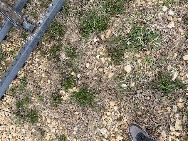 1998 DMI TIGER MATE II--48.5 w/3 Bar Harrow Field Cultivator