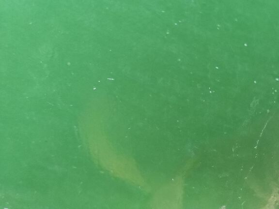 2024 John Deere 9RX 590 Tractor Rubber Track