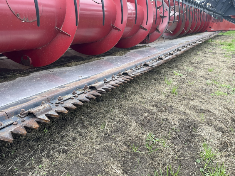 2010 Case IH 2020-30F Header Flex