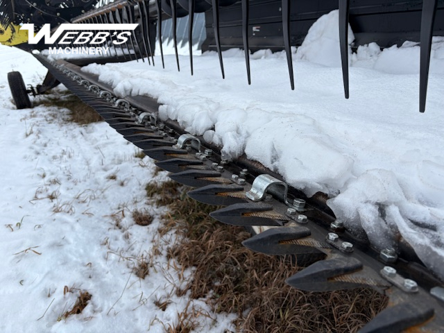 2010 MacDon M150 Windrower