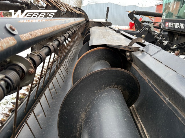 2010 MacDon M150 Windrower