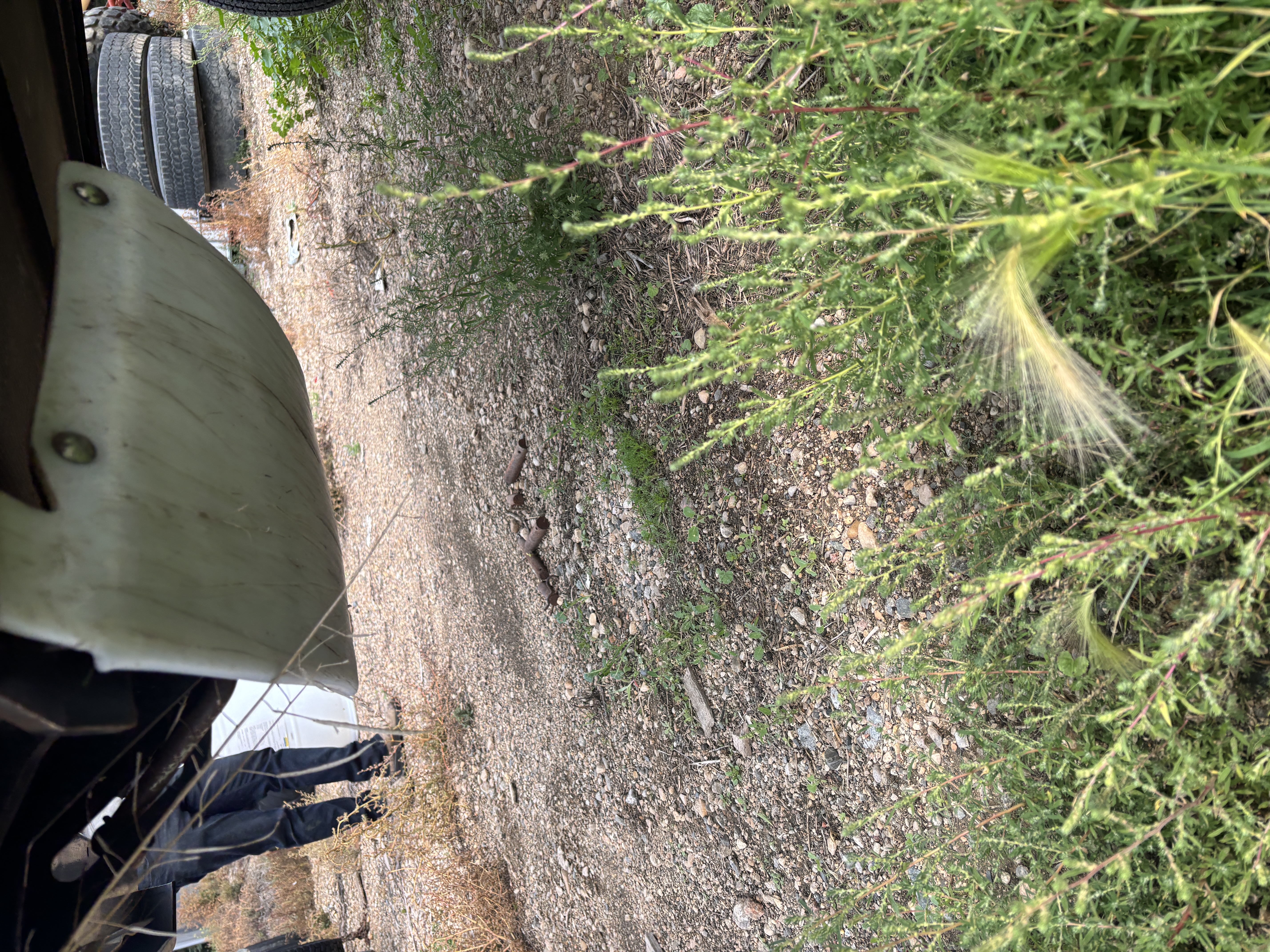 2016 MacDon M155E4 Windrower