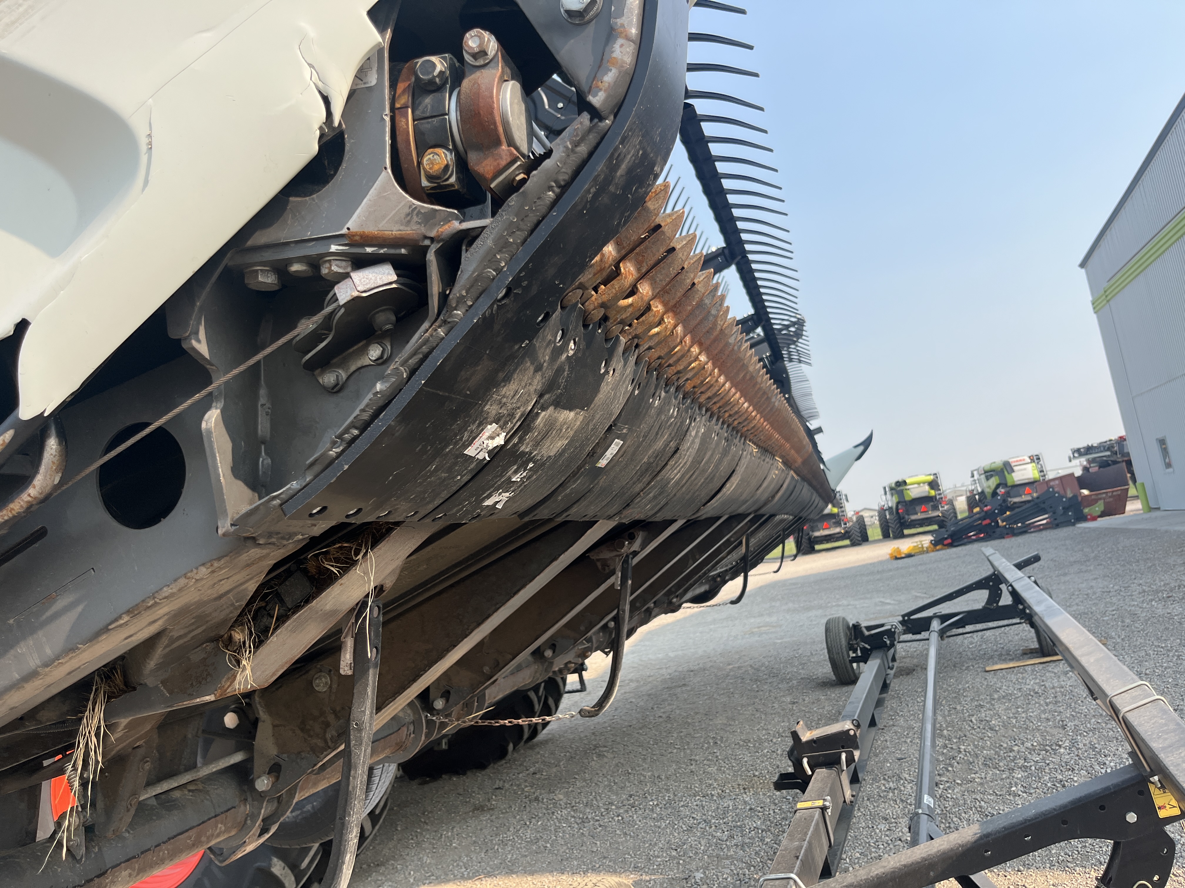 2020 CLAAS CONVIO FLEX Header Combine