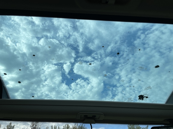 2025 John Deere 6R 195 Tractor