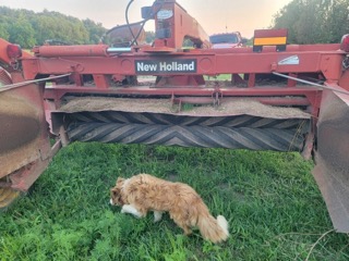 2005 New Holland 1431 Mower Conditioner/Disc