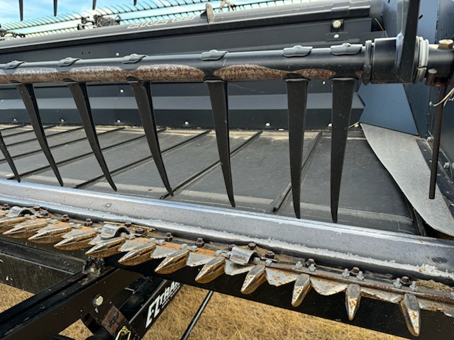 2010 Case IH 2162 Header Draper