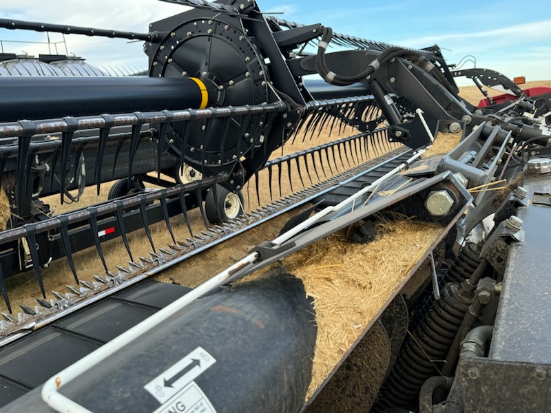 2010 Case IH 2162 Header Draper